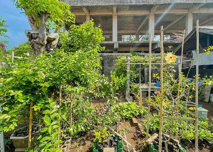 Mbah Mek Trawangan Homestay