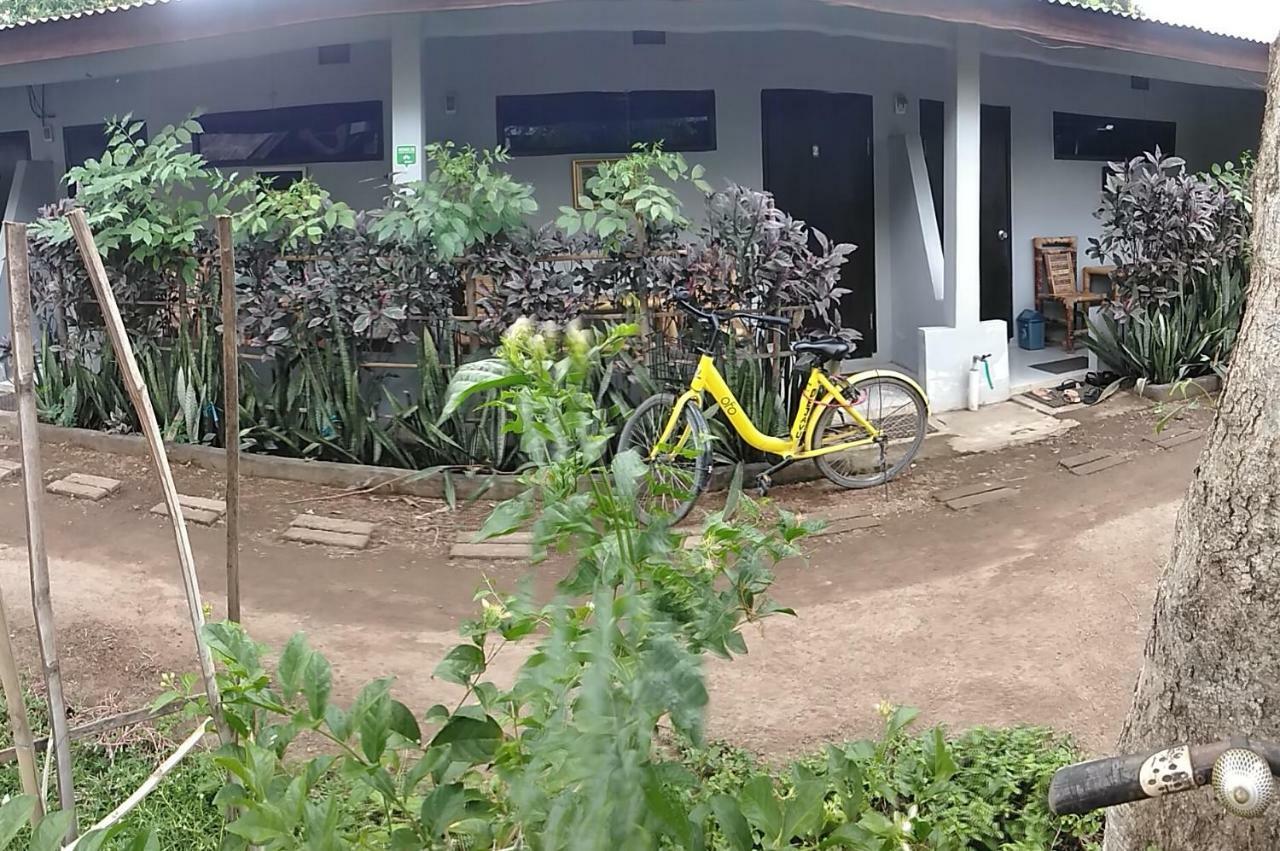 Séjour chez l'habitant Mbah Mek Trawangan Gili Trawangan