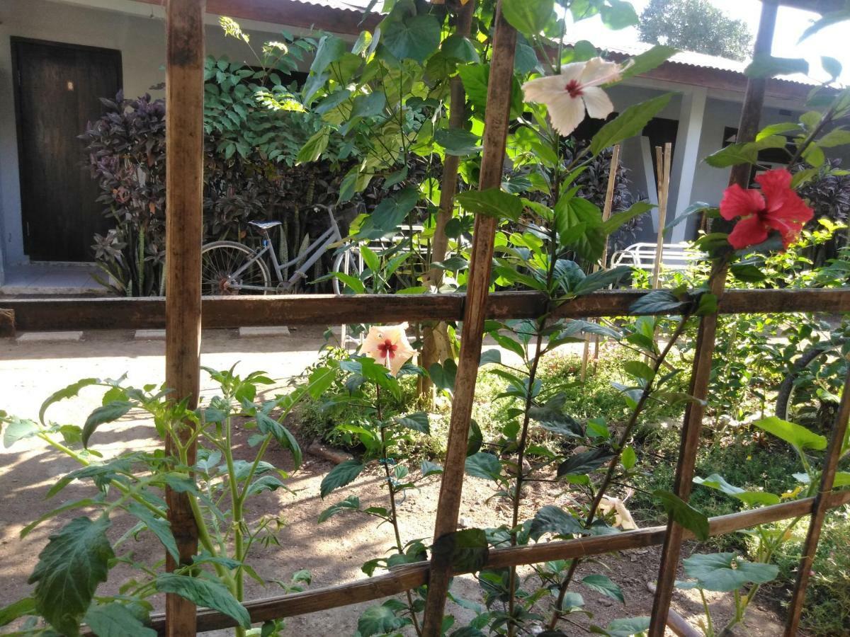 Séjour chez l'habitant Mbah Mek Trawangan Gili Trawangan